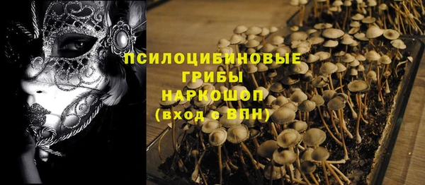 мдпв Арсеньев