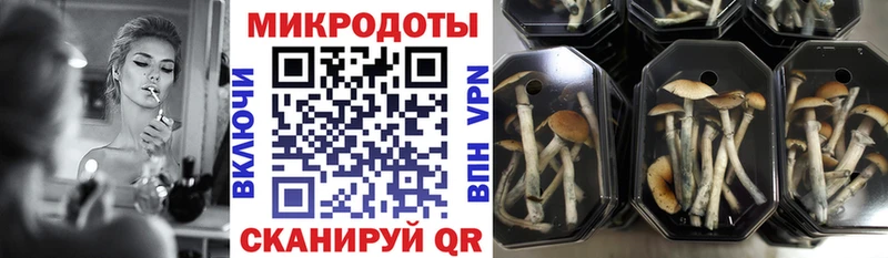Псилоцибиновые грибы мицелий Макарьев